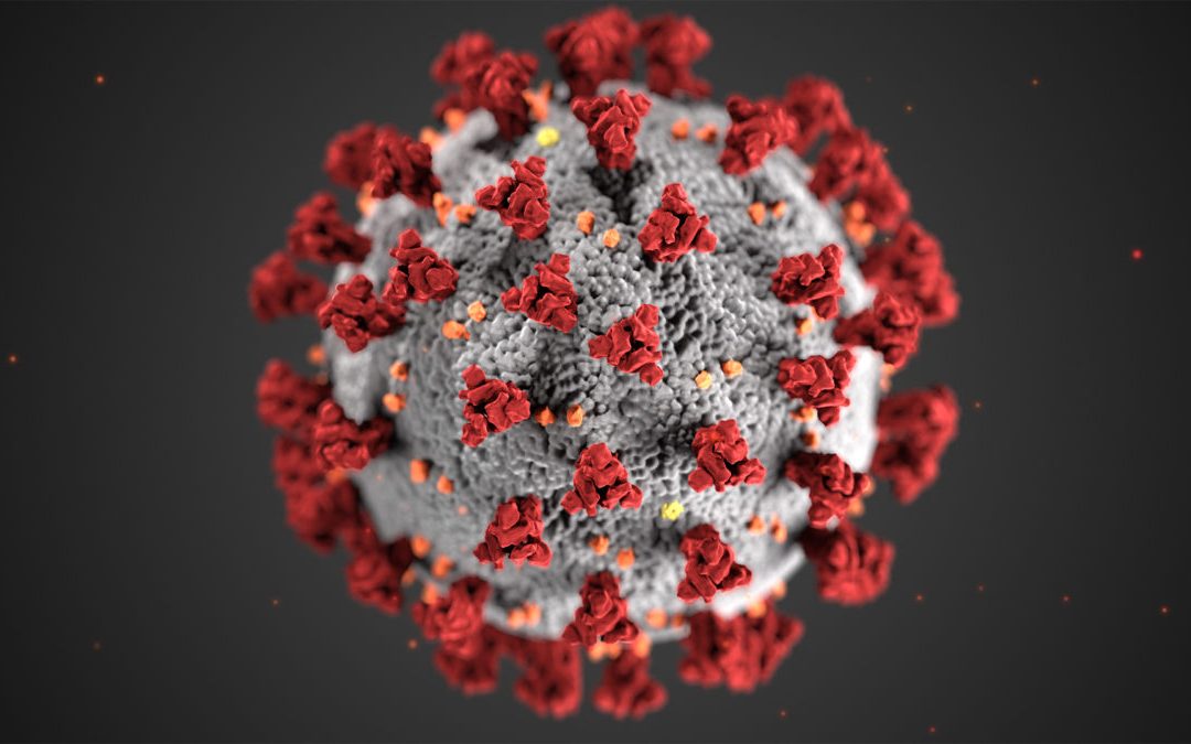 Pandémie de coronavirus